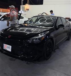 کیا ستینگەر